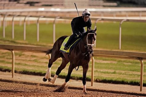 cal pick 4 horse handicapper.